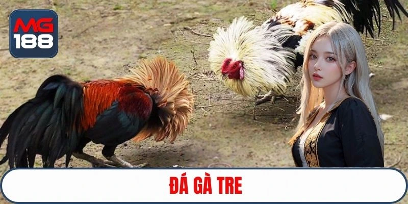 da-ga-tre-avt