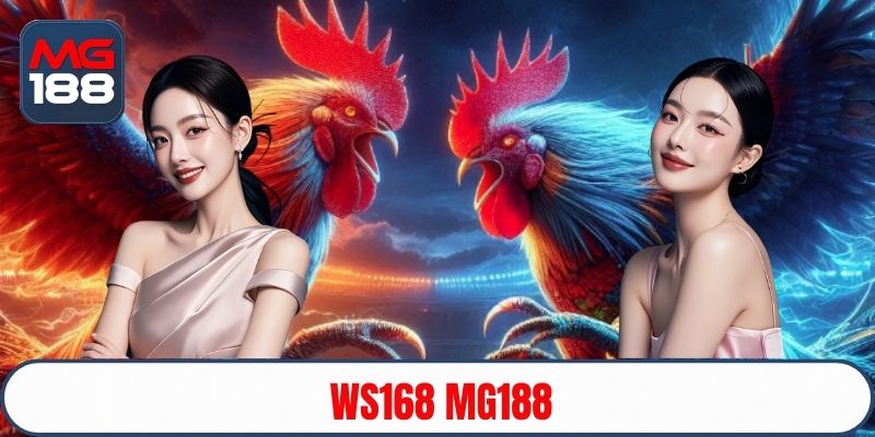 ws168-mg188-avt
